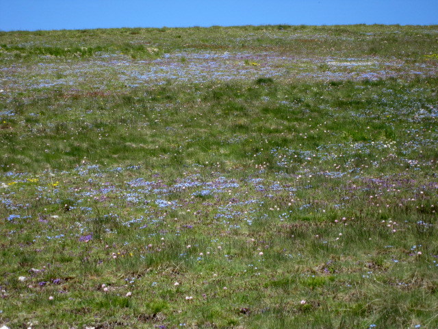 Salita sul Monte Vettore (2476 m)